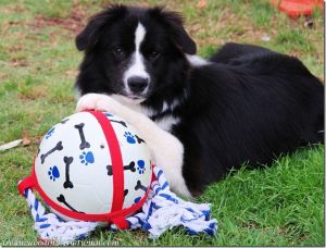 20120301-Rupert's_file