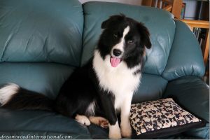 20120316-Rupert_8mths-1