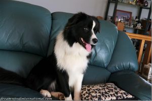 20120316-Rupert_8mths-2
