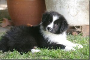 20120610-rupert-01