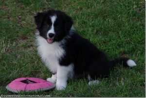 20120610-rupert-02