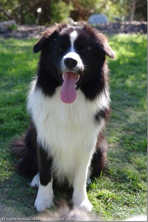 20120610-rupert-10mths
