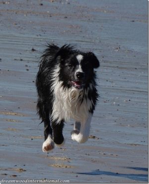 20120610-rupert-beach