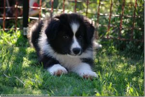 20120610-rupert
