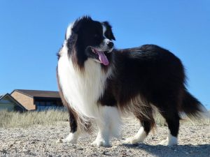 20190322-rupert