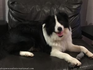 Fergus