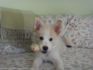 20120224-snowy-2