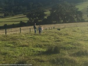 20150706-IMG_3506