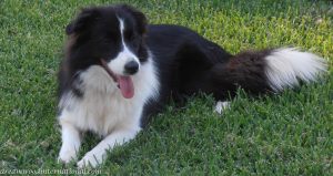 20150310-teagan-12-months