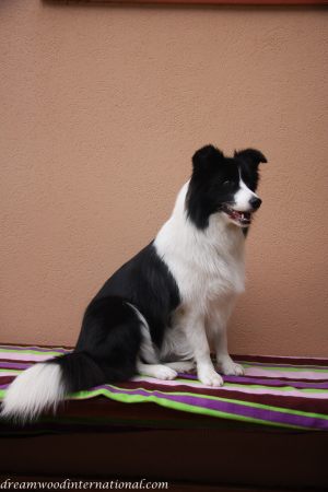 20120508-Trinitee-sitting