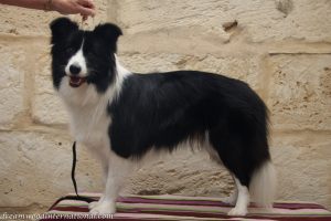 20120508-Trinitee-stack