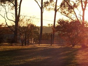 20120519_070628