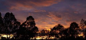 sunset_landscape_1