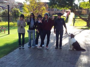 japanese-farmstay-01