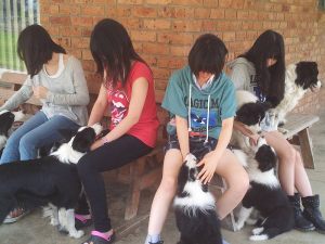 japanese-farmstay-10