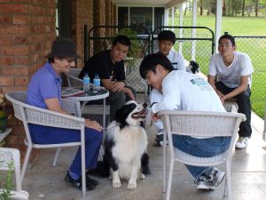 japanese-farmstay-19