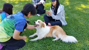 japanese-farmstay-2015-Oct-002