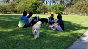 japanese-farmstay-2015-Oct-003
