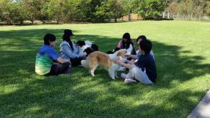 japanese-farmstay-2015-Oct-004