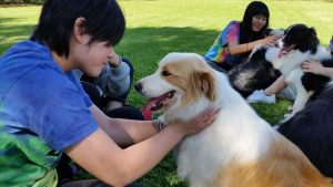 japanese-farmstay-2015-Oct-005