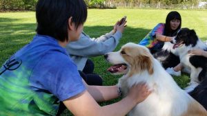 japanese-farmstay-2015-Oct-006
