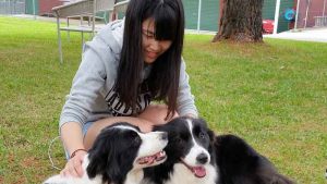 japanese-farmstay-2015-Oct-007