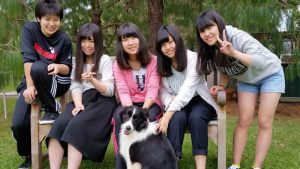 japanese-farmstay-2015-Oct-011